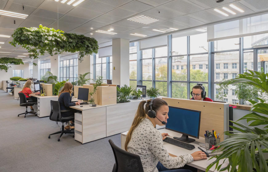 люди работают за столами в опенспейсе, много окон, света и зелени