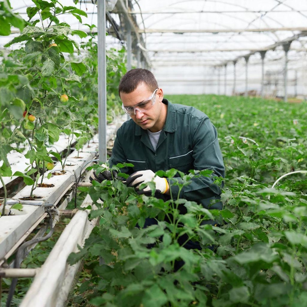 Современные технологии производства и защиты растений