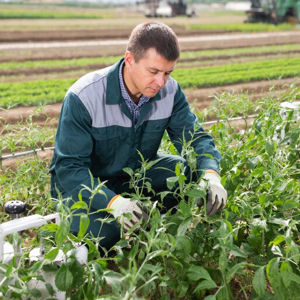 Защита растений и агрохимия