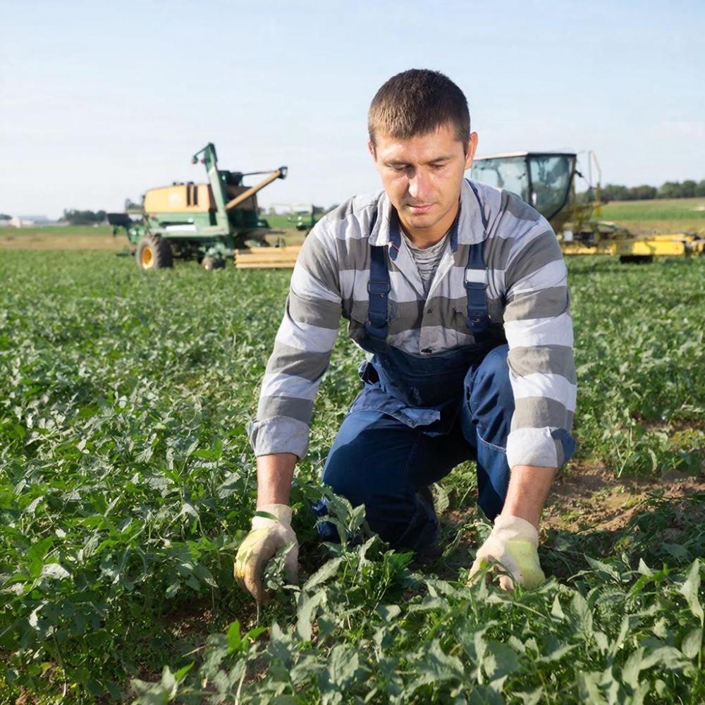 Сельское хозяйство