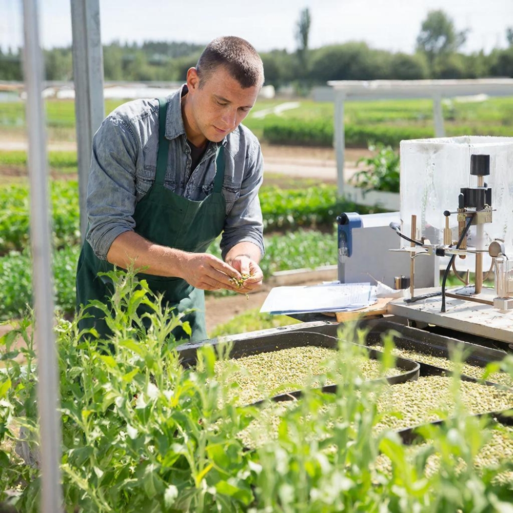 Экспертиза технологии производства продукции растениеводства